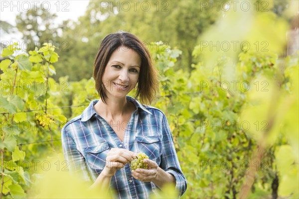 Caucasian farmer tasting grapes in vineyard