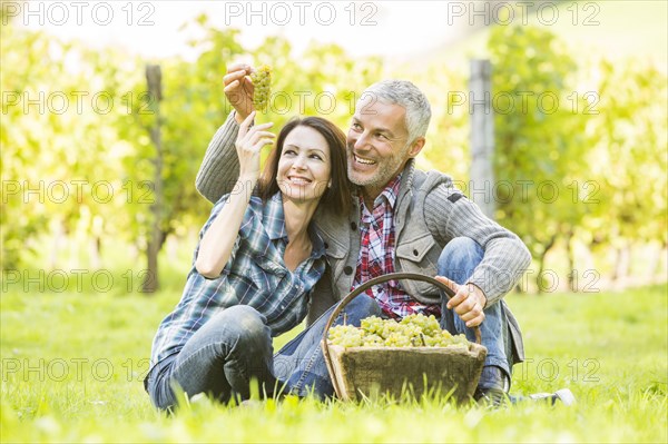 Caucasian farmers examining grapes in vineyard