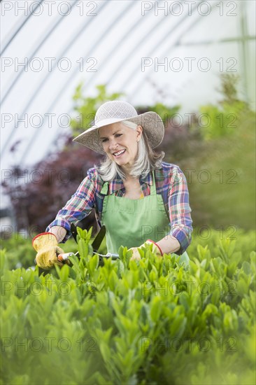 Caucasian woman pruning plants in greenhouse