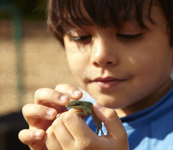 Mixed race boy looking at lizard