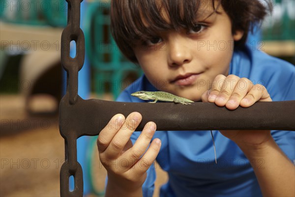 Mixed race boy looking at lizard