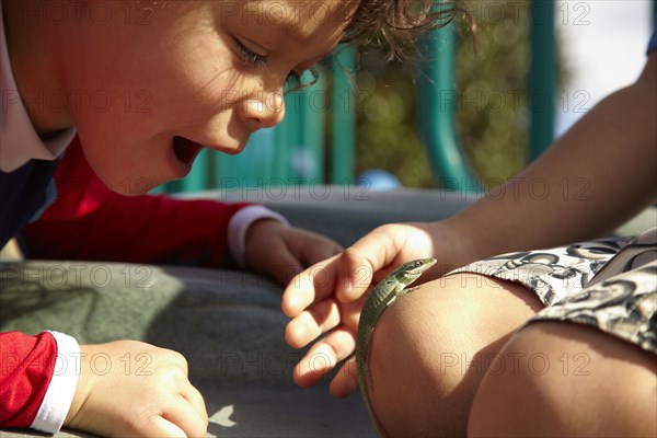 Children looking at lizard