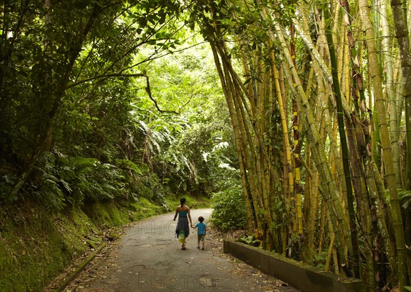 Mixed race mother and child walking on road in jungle