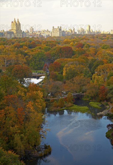 Aerial view of urban park