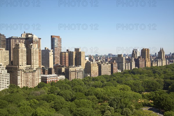 Urban park and skyscrapers