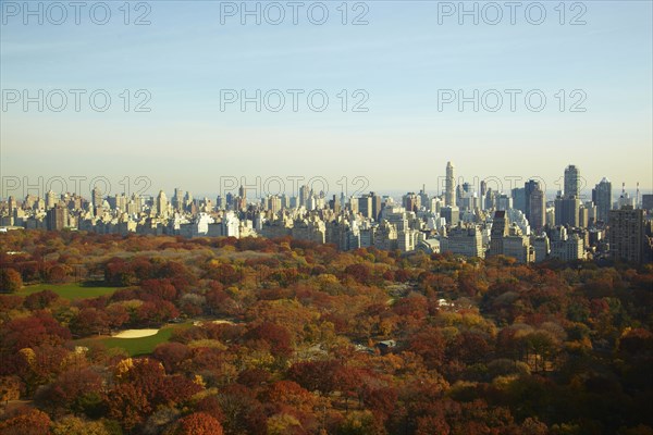 Urban park and skyscrapers