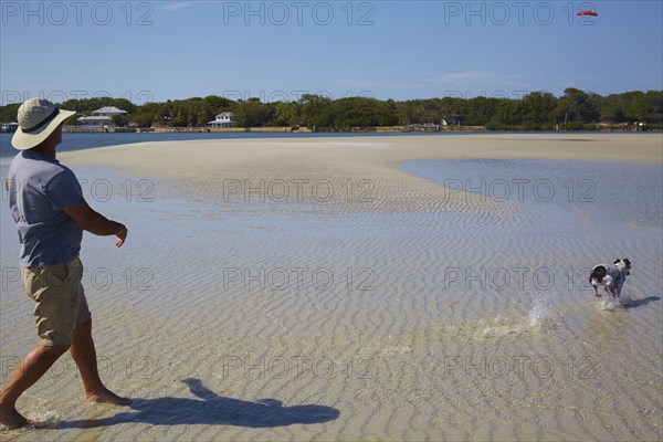 Caucasian man throwing plastic disc for dog on beach