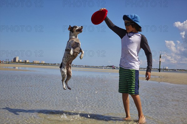 Mixed Race boy playing with dog on beach with plastic disc