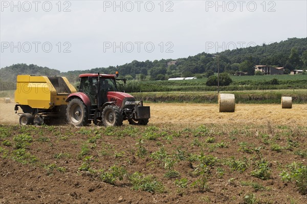 Tractor in field