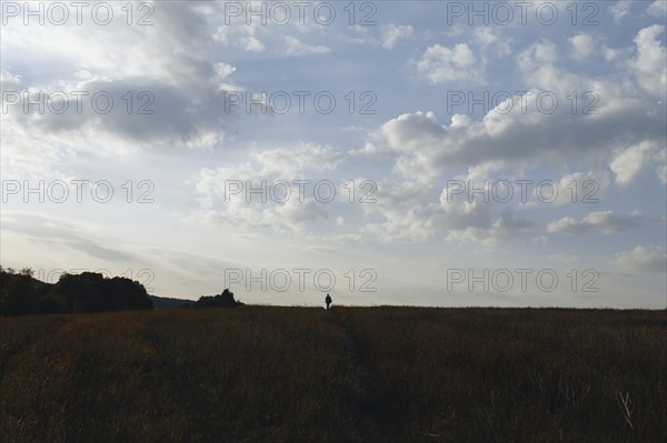 Distant Caucasian man in field under clouds