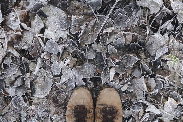 Boots standing on leaves covered with frost