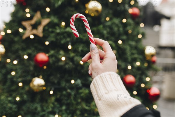 Hand of Caucasian woman holding candy cane near Christmas tree