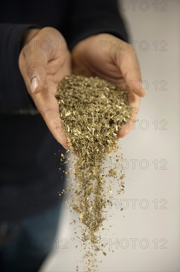 Tea pouring from Middle Eastern man's hands