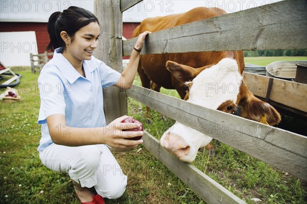 Girl holding apple for cow