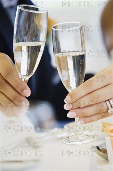 Multi-ethnic bride and groom toasting