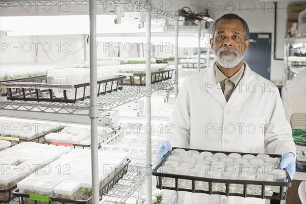 African American scientist working in laboratory