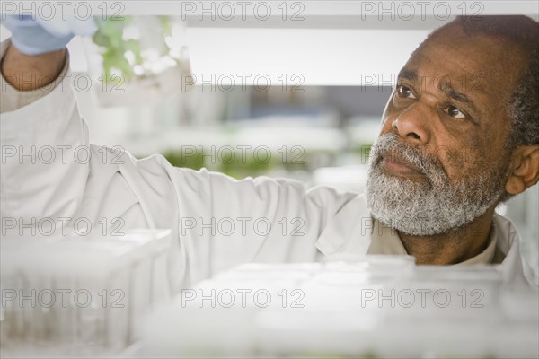 African American scientist working in laboratory