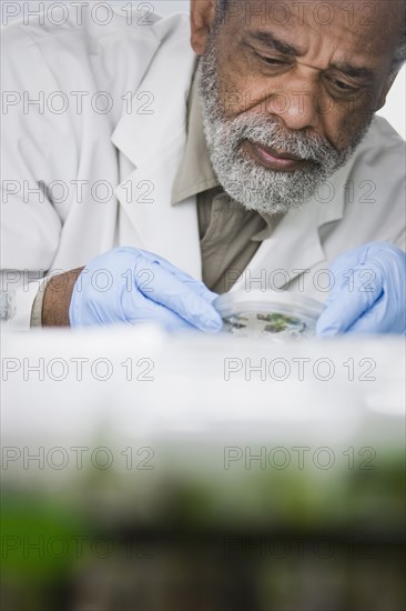 African American scientist working in laboratory