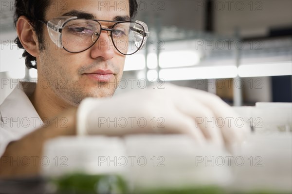 Middle Eastern scientist working in laboratory