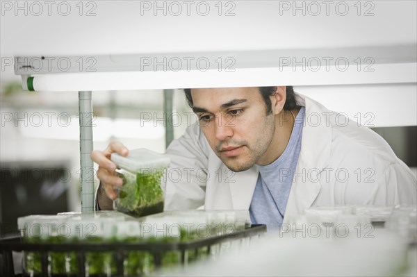 Middle Eastern scientist working in laboratory