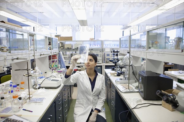 Indian scientist working in laboratory