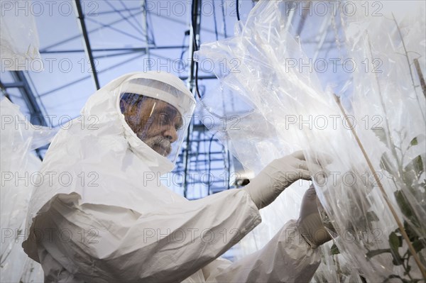 Scientist in clean suit working in greenhouse