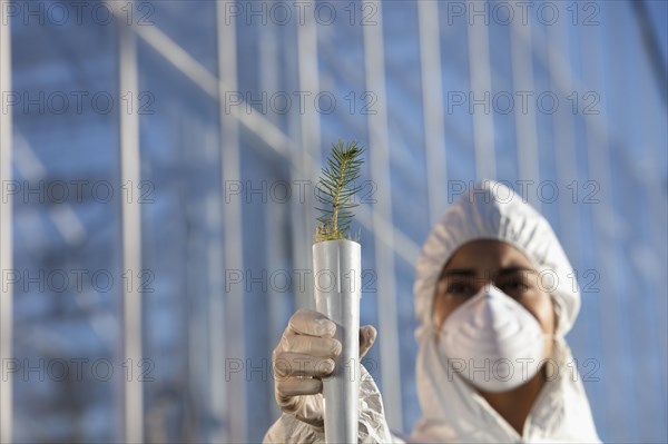 Scientist in clean suit holding tree seedling