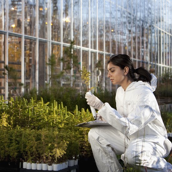 Indian scientist in clean suit working in greenhouse