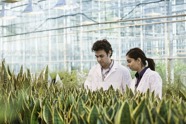 Scientists working in greenhouse