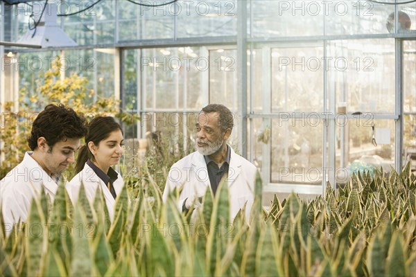 Scientists working in greenhouse