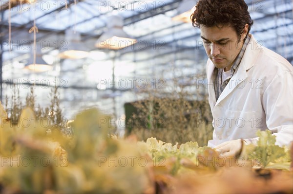 Middle Eastern scientist working in greenhouse