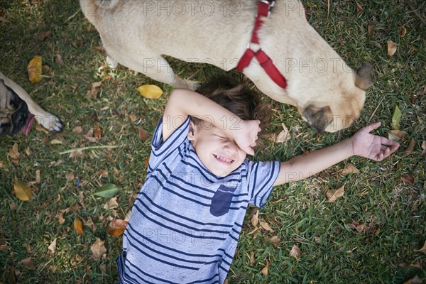 Hispanic boy covering face from dogs