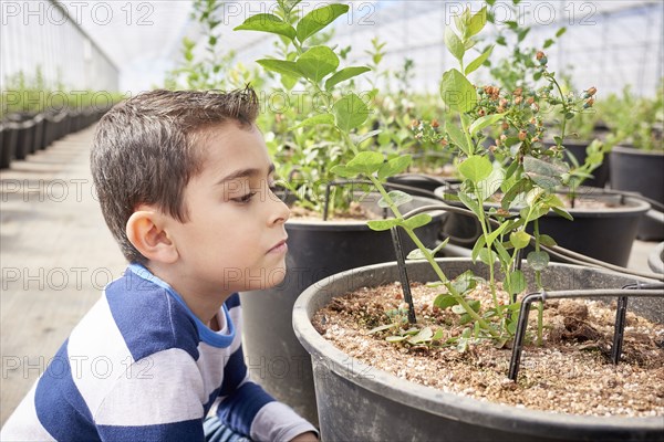 Hispanic boy in greenhouse examining plant