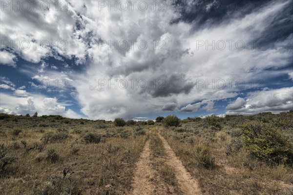 Remote dirt path under clouds