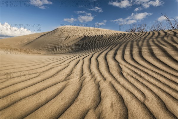 Ripples in sand dunes