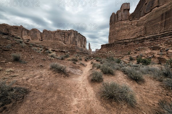 Rock formations in desert