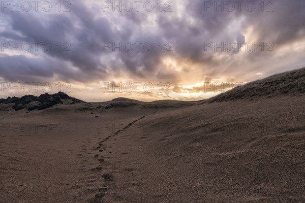 Footprints in sand at sunset