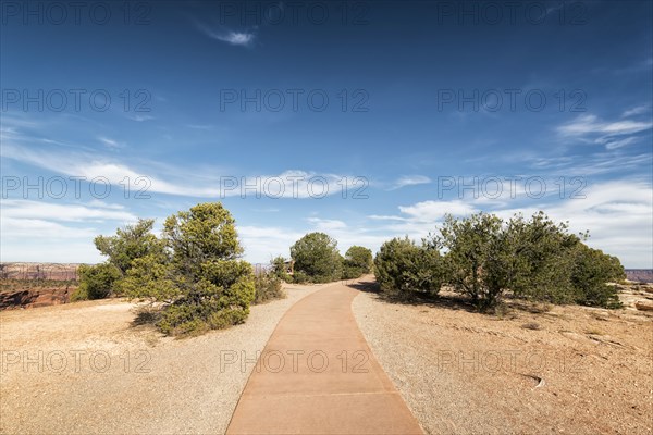 Path in sunny park