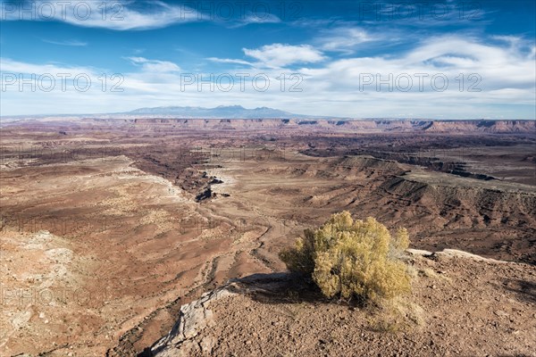 Scenic view of canyonlands in Moab