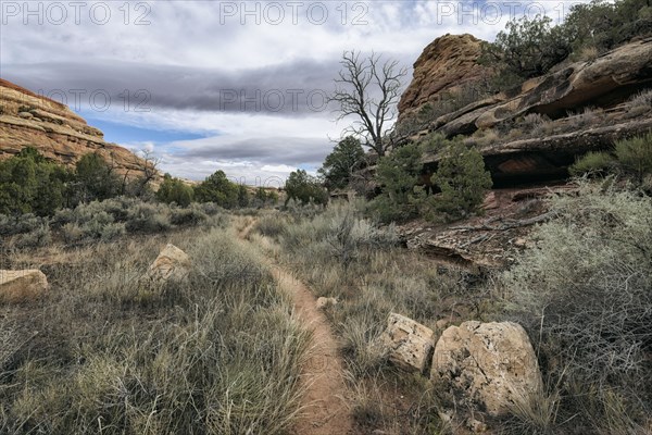 Clouds over path in desert