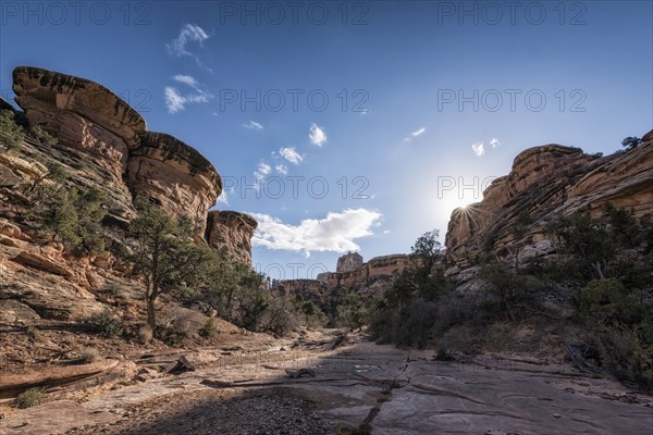 Blue sky over canyon in Moab