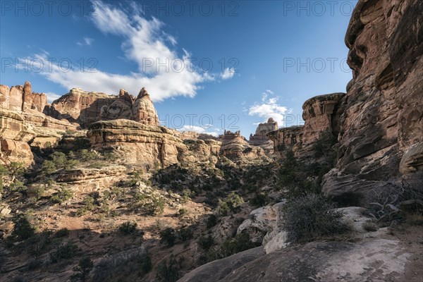 Blue sky over canyon in Moab