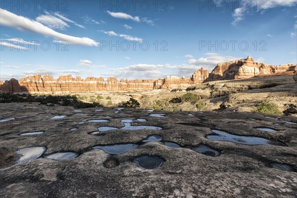 Puddles in desert