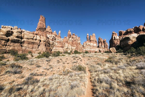 Blue sky over desert path