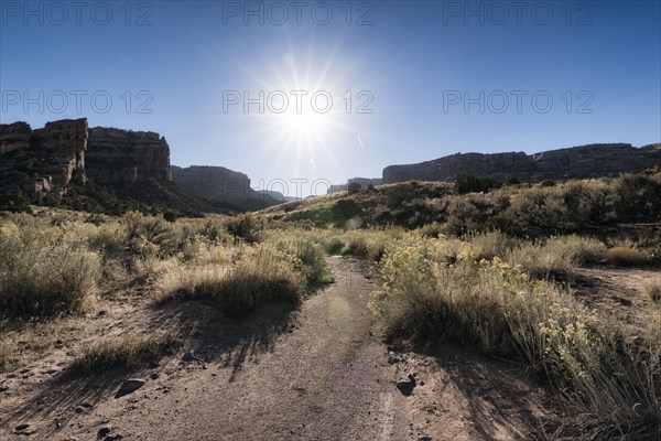 Sun in blue sky over desert path