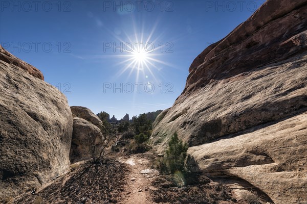 Sun in blue sky over desert path