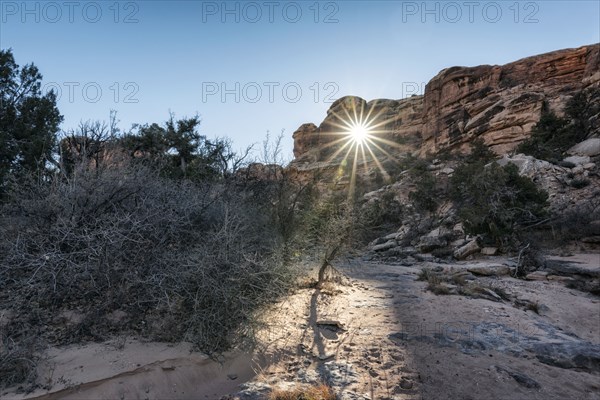 Sunbeam in desert
