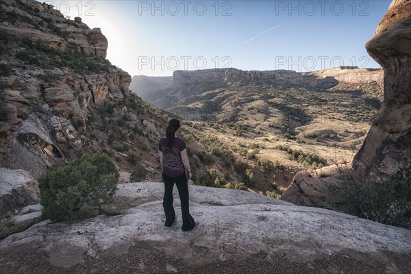 Woman admiring scenic view of desert