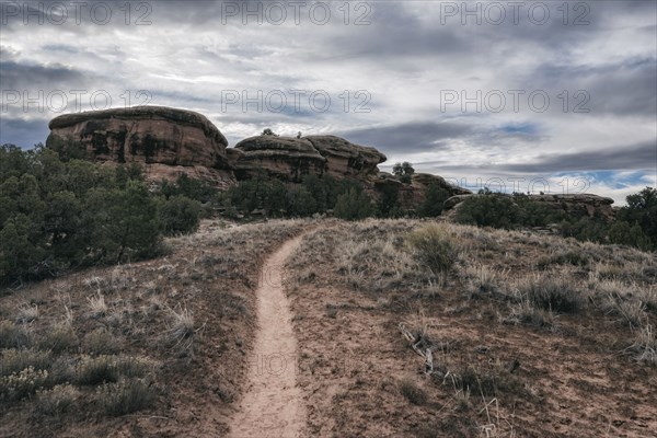 Clouds over desert path