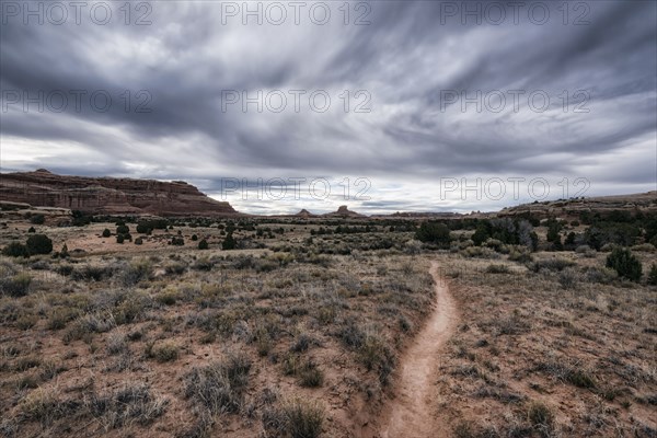 Clouds over desert path